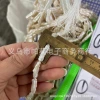 New natural long pearl 20x5mm Baroque irregular beaded pipa beads DIY jewelry accessory material Application Scenario